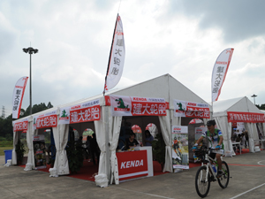 KENDA݆̥ڼA(D)